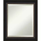 20" x 24" Trio Framed Wall Mirror Oil Rubbed Bronze - Amanti Art