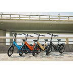 GoPowerBike GoPlus Bici Elettrica Pieghevole per Adulti