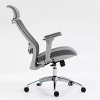 Okak Computer Chair with High Back, Office Chair with Headrest and Wheels, Mesh Desk Chair for Office, Study, Reading Room