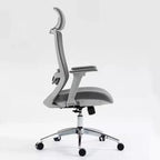 Okak Computer Chair with High Back, Office Chair with Headrest and Wheels, Mesh Desk Chair for Office, Study, Reading Room