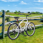 Whisen 26 Adult Outdoor Bikes with Steel Frame Low Swooping Frame, 7-Speed Gear, Front and Rear V brakes