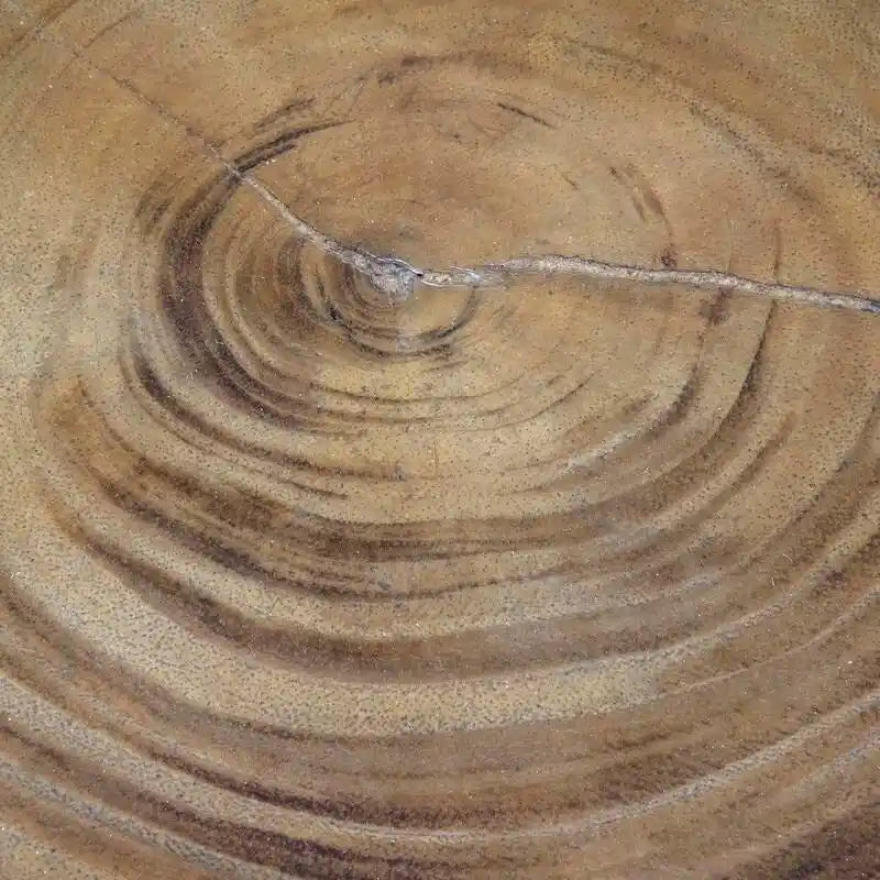 Tavolino rotondo in legno massello naturale di acacia di East at Main