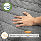 SweDrea Plush Hybrid Memory Foam 8/12 in.Cooling Breathable Mattress with CertiPUR-US, SGS and OEKO-TEX